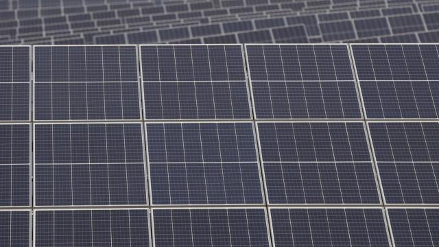 Paneles solares de la planta Andévalo de Iberdrola.