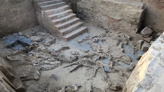 El patio con la hecatombe de animales de Casas del Turuñuelo.