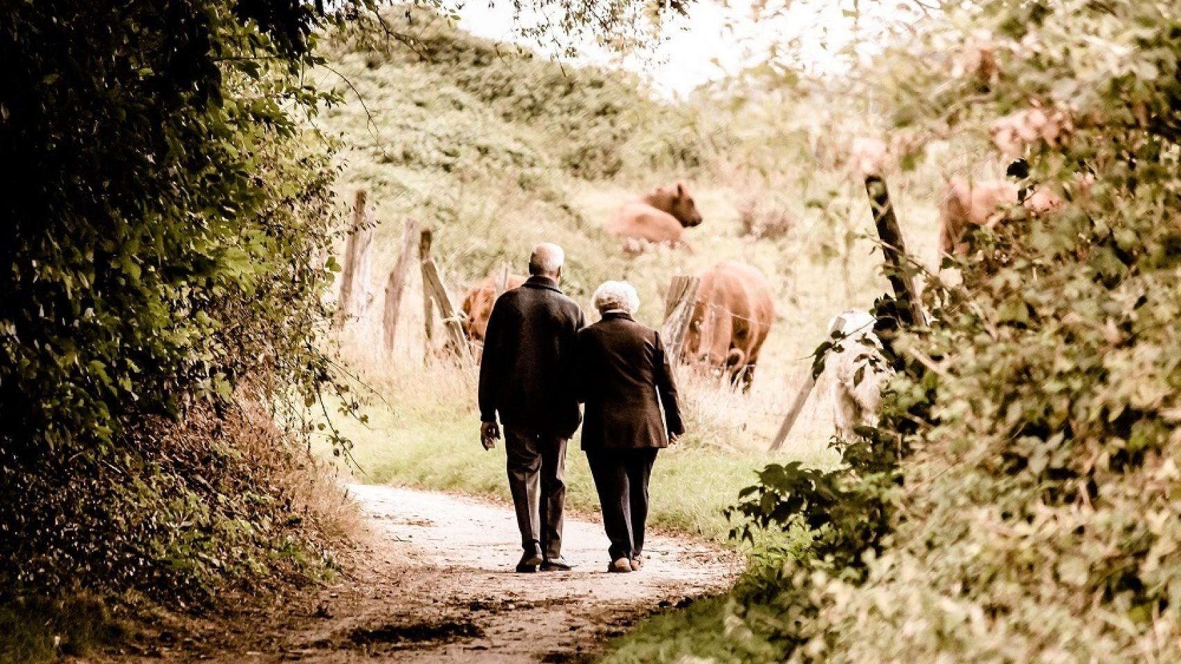 La edad legal de jubilación subirá a 66 años desde enero y la pensión se calculará con 24 años cotizados