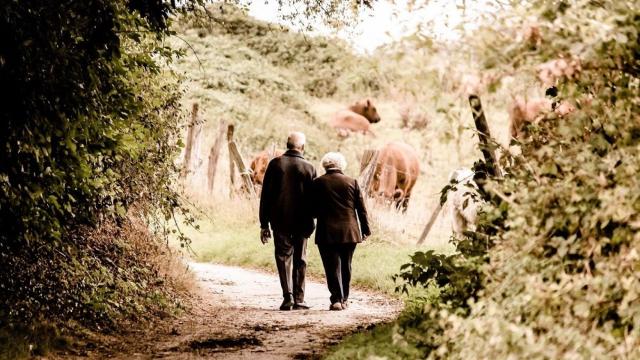 La edad legal de jubilación subirá a 66 años desde enero y la pensión se calculará con 24 años cotizados