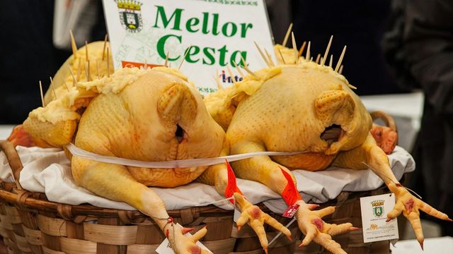 Capón de Vilalba (turismovilalba.com)