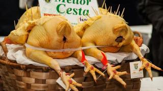 Capón de Vilalba (turismovilalba.com)