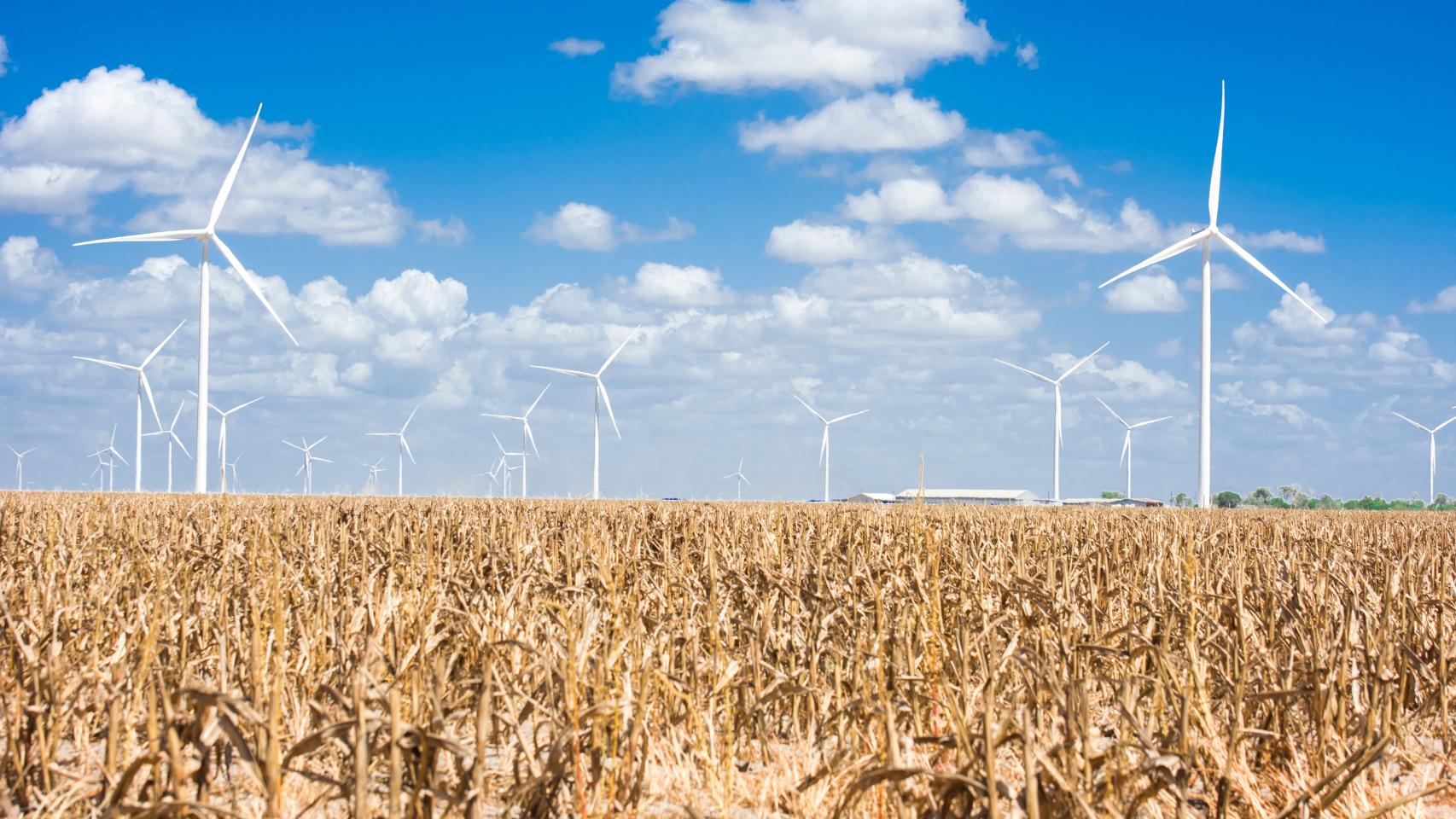 Un parque eólico de Siemens Gamesa.