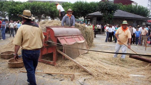 Festa da malla en Meira (turismo.gal)