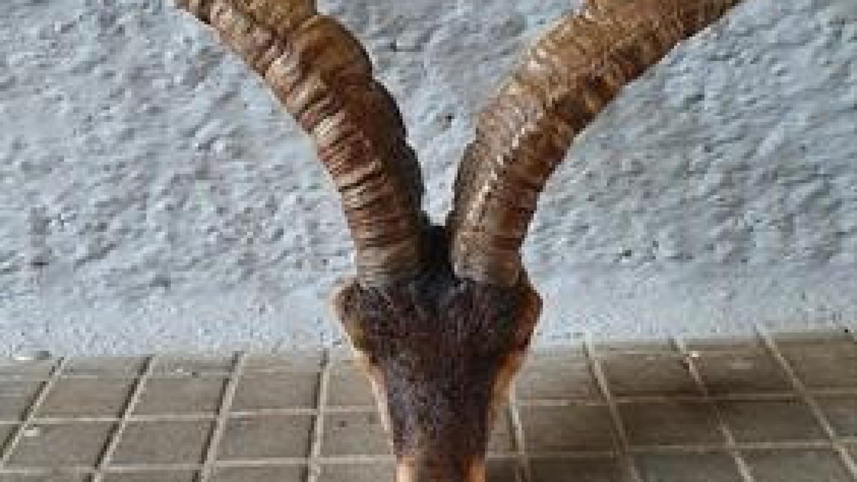 Castilla y León