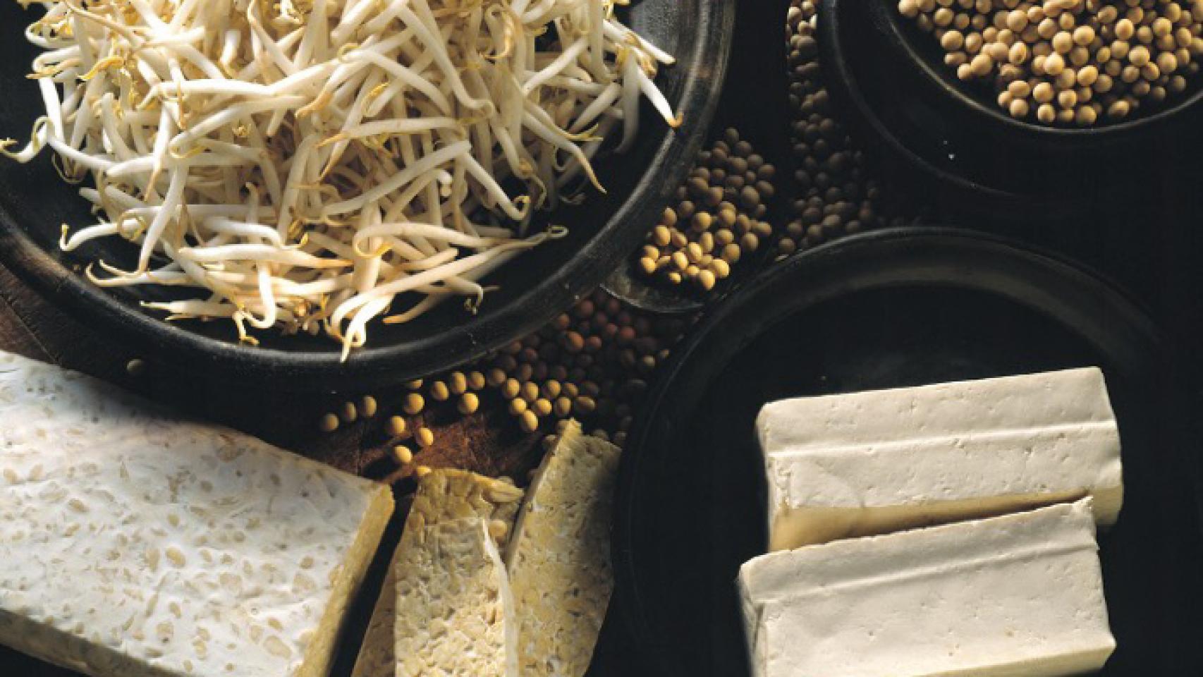 Productos alimentarios elaborados con soja.