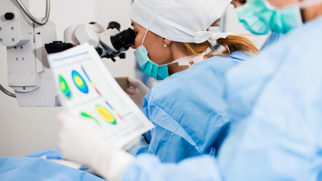 Un equipo de investigación en un laboratorio.
