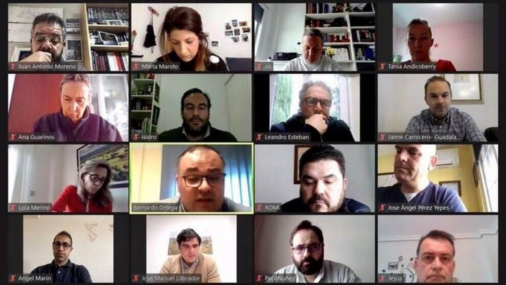 Comisión de Fomento del PP-CLM telemática