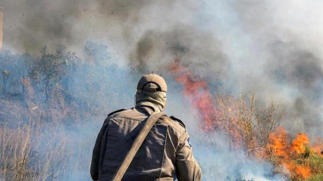 La deforestación está estrechamente relacionada con los incendios en la Amazonía.