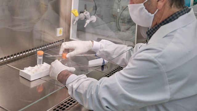 El investigador del CiQus José Martínez Costas.