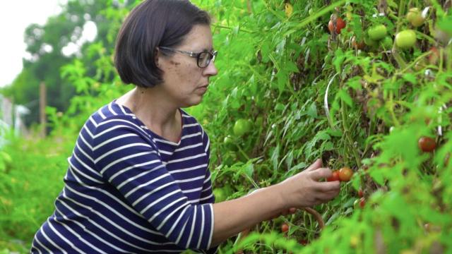 María José Tallón en su huerta de Silleda (Pontevedra).