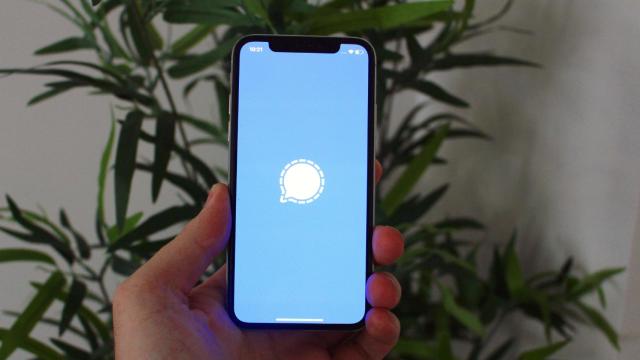 La aplicación de Signal en un iPhone.