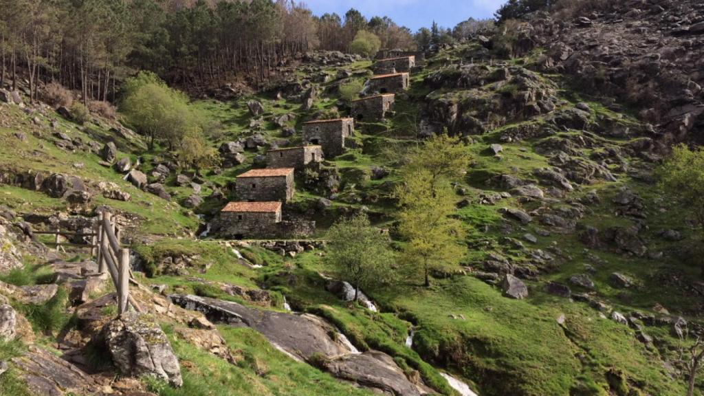 Vista parcial de los molinos.