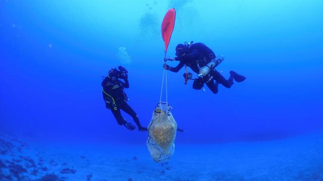 Arqueólogos submarinos griegos han hallado vasijas fabricadas en España entre los restos de un naufragio del siglo II o III.