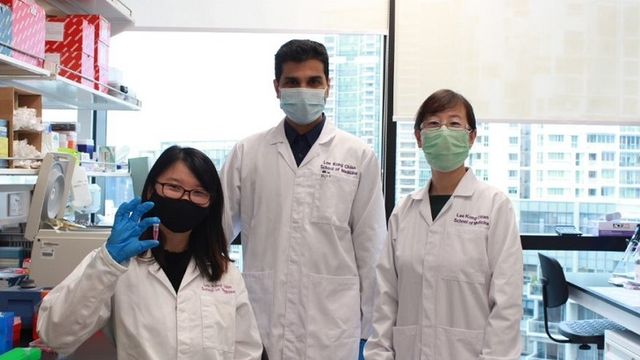 El equipo de investigadores de la Nanyang Technological University que ha desarrollado la nanocápsula de insulina