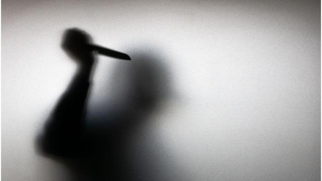 Asesinato, puñaladas, arma blanca.
