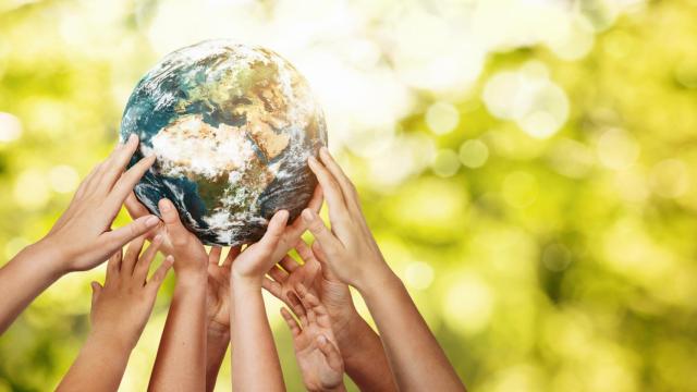 Día Mundial de la Educación Ambiental, cada acción cuenta