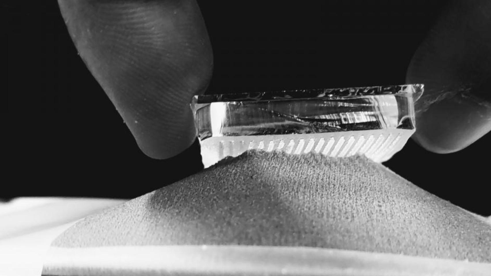 Crean un velcro inspirado en hongos que revolucionará la robótica.