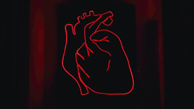 Una ilustración de un corazón. Foto: Unsplash