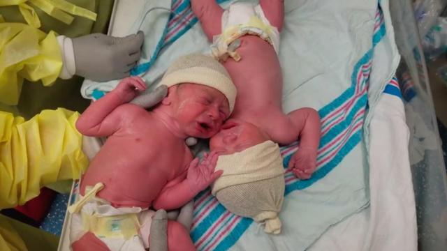 Unos mellizos recién nacidos.