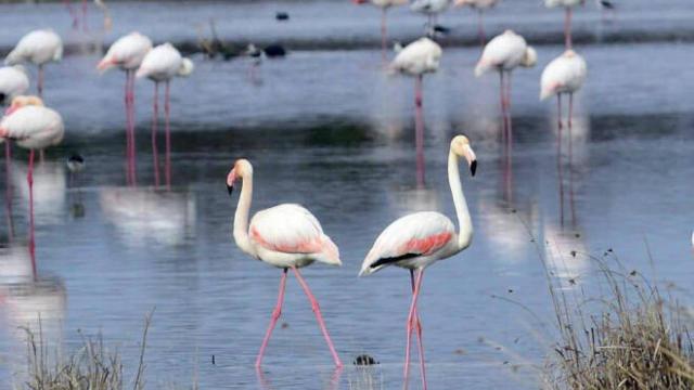 Imagen de 'Los Charcones' en Miguel Esteban