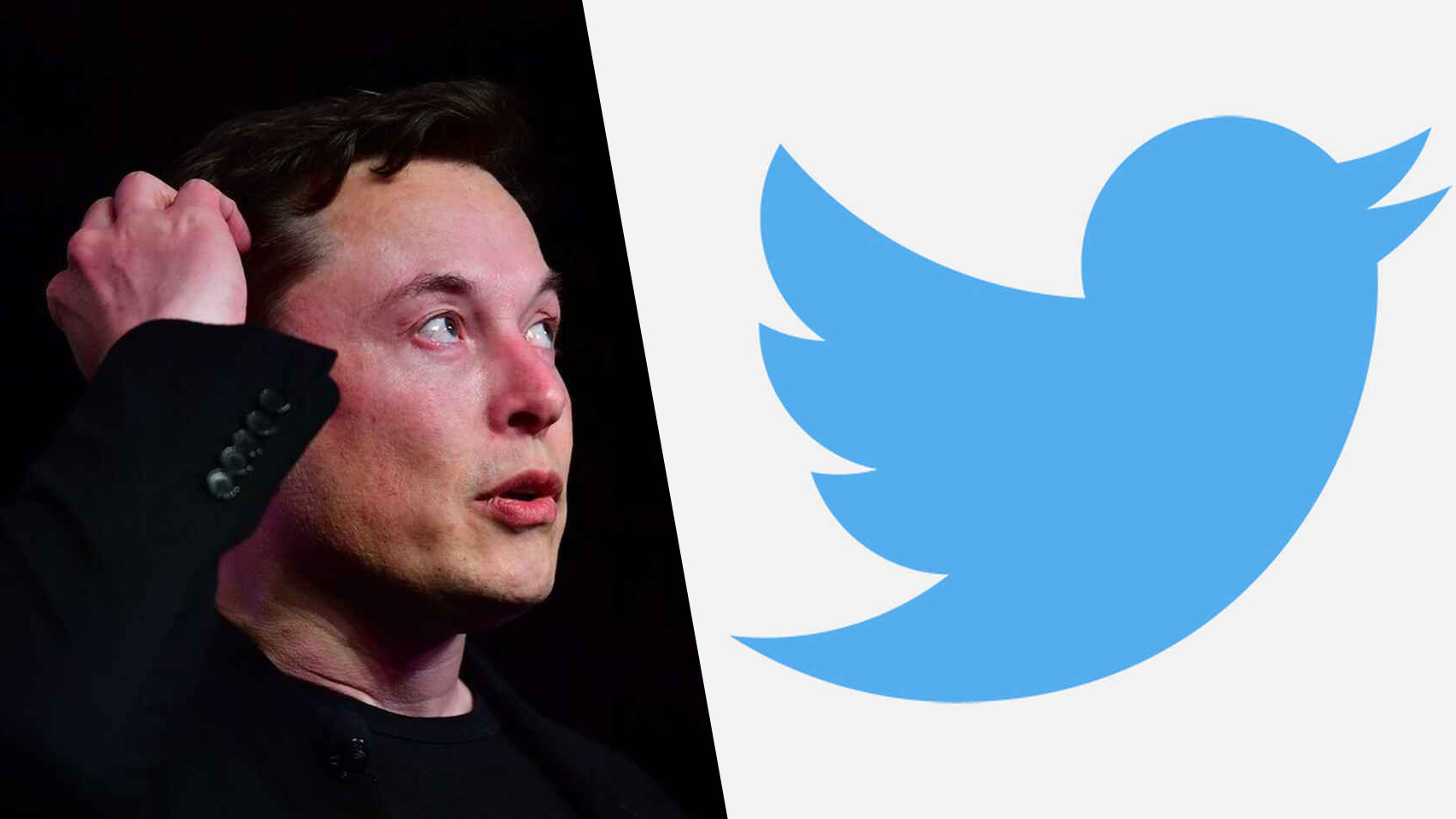 Elon Musk y Twitter