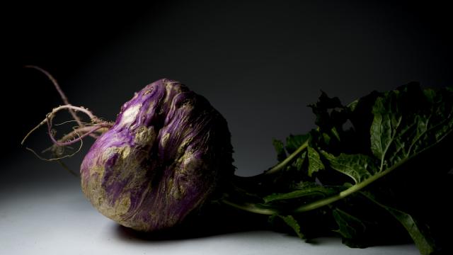 El gusto de las verduras feas (fotografía: Agustín Gómez y Rafael Monge)
