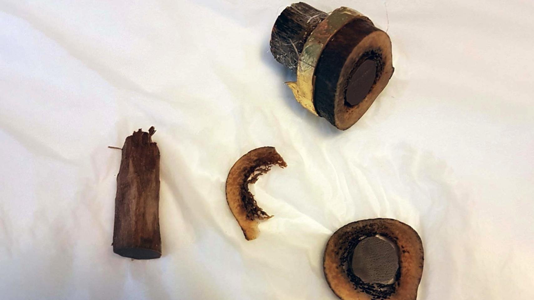 Un trozo del fémur De Santiago el Apóstol.
