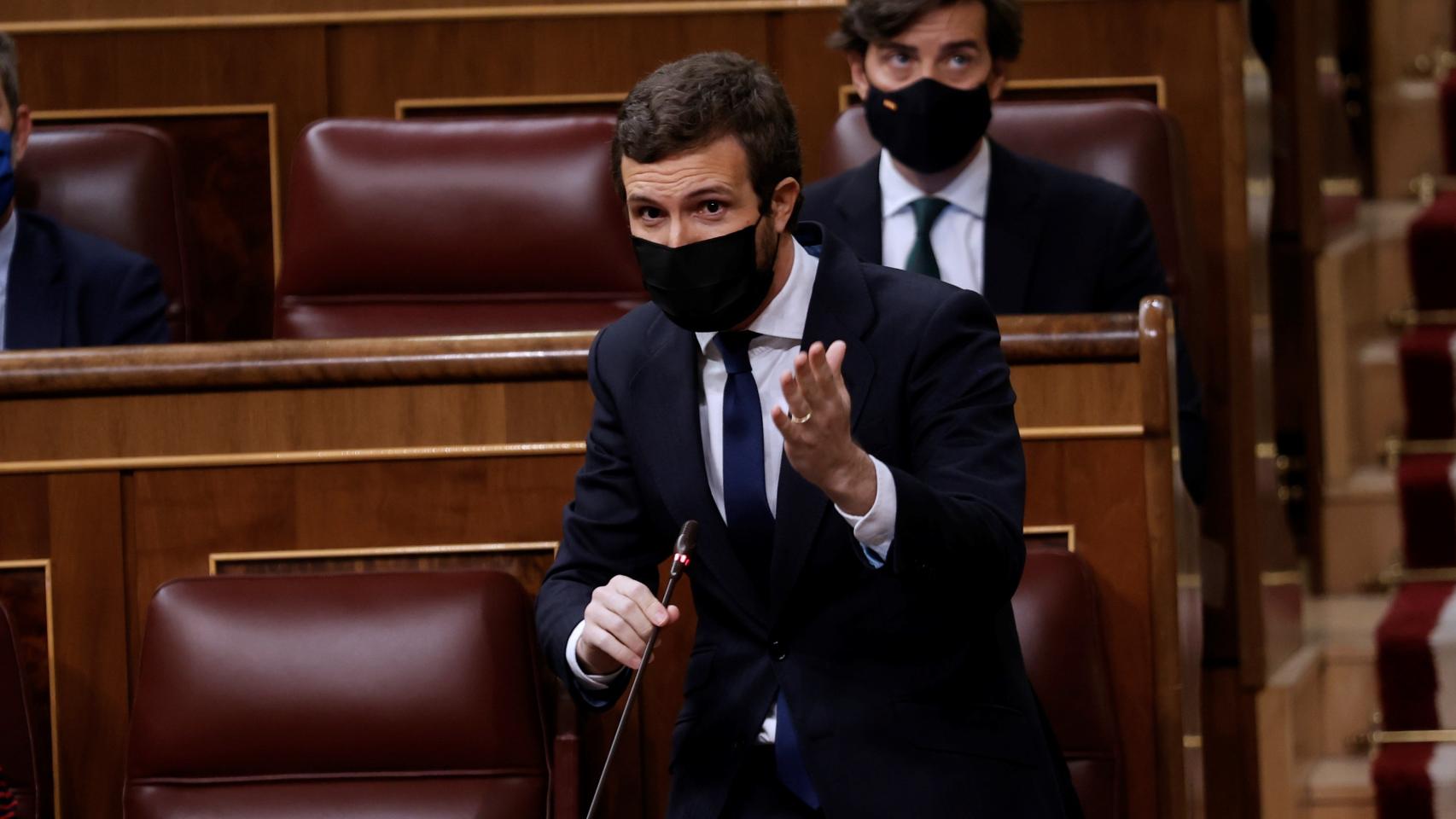 Pablo Casado, presidente del PP, en el Congreso de los Diputados.