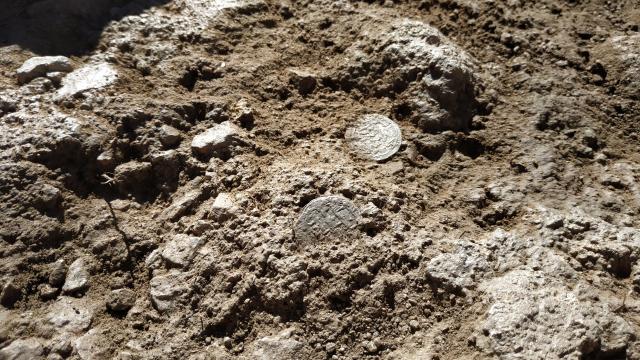 Disposición de varios de los dírhams en el momento del hallazgo.