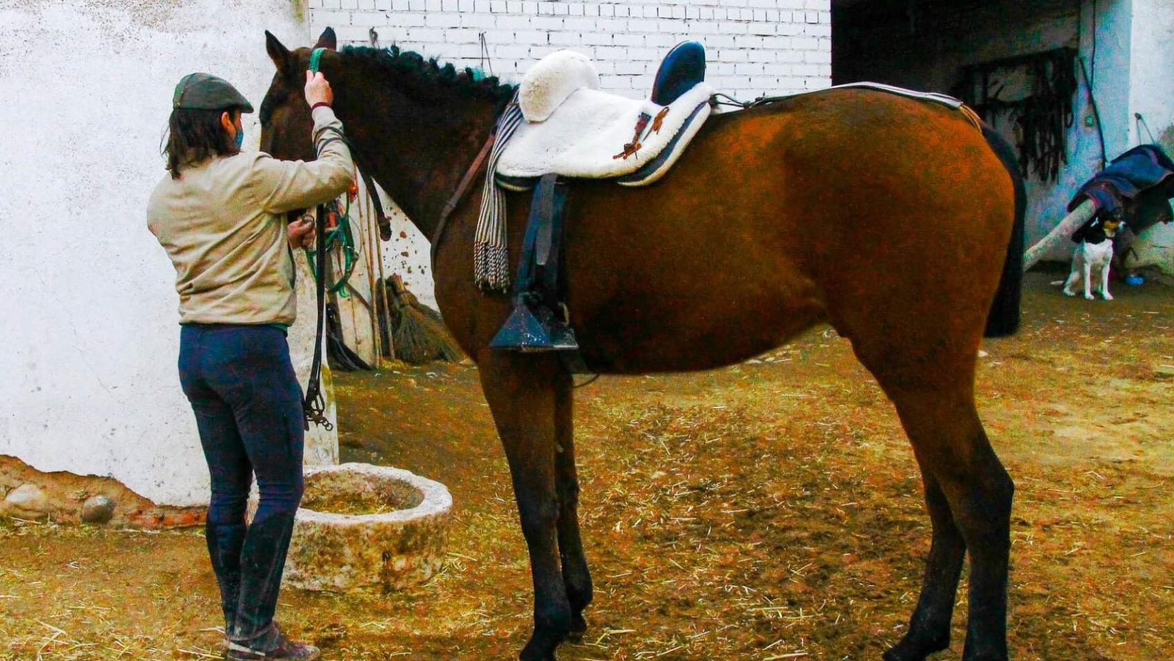 FOTOS: Raúl Alonso 1