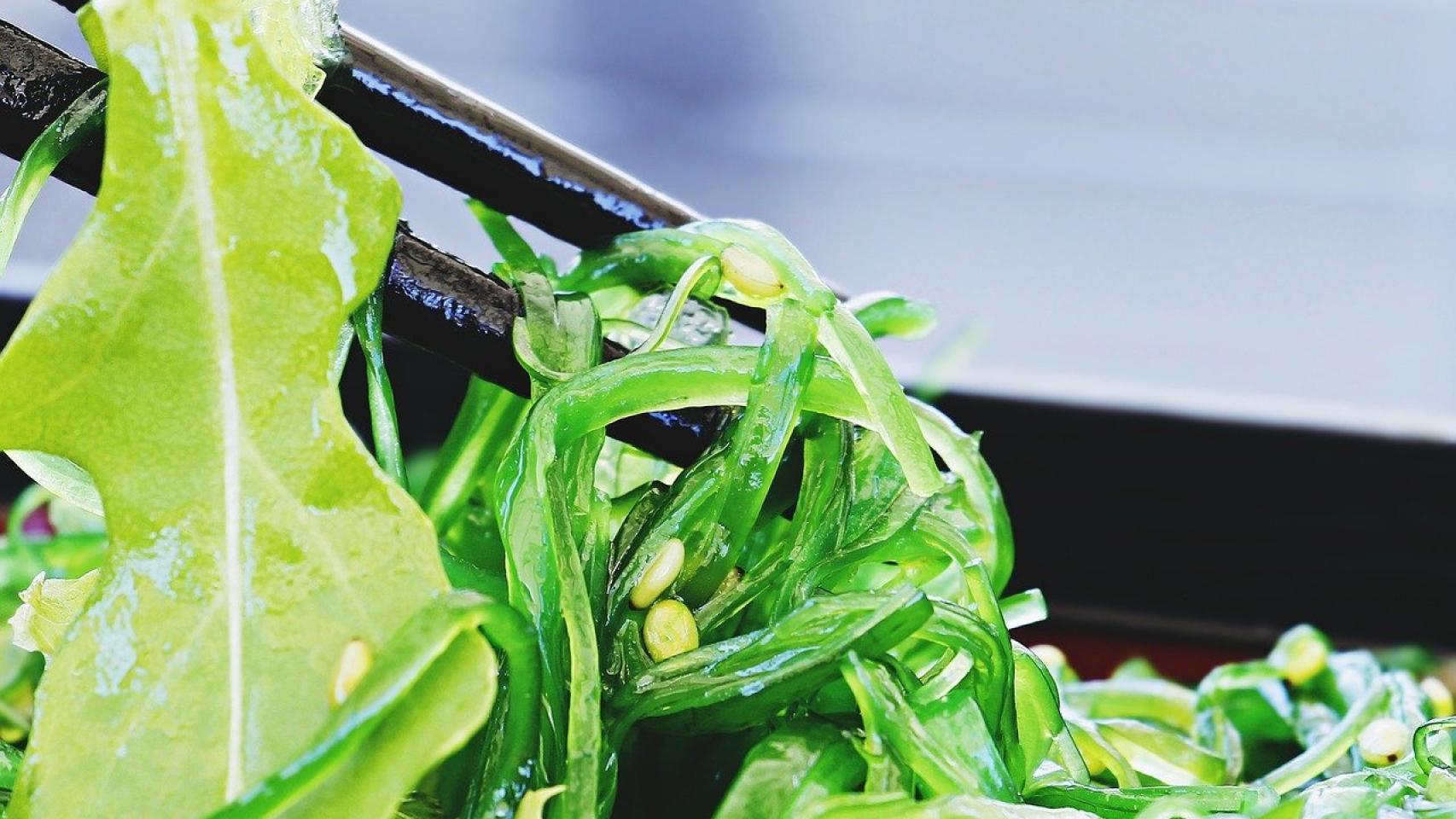 Ensalada con wakame.