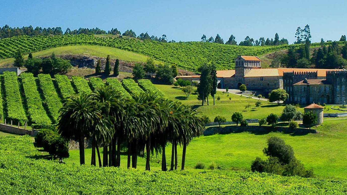 visita a las bodegas de Rías Baixas con degustación incluida