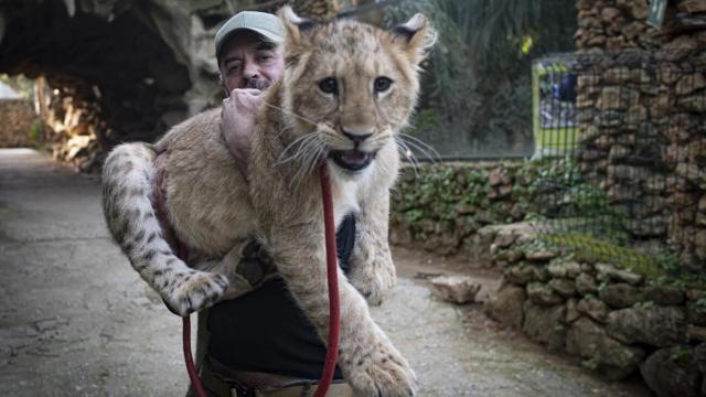 Javier Morales, responsable del zoológico de Castellar de la Frontera, en Cádiz, este martes.