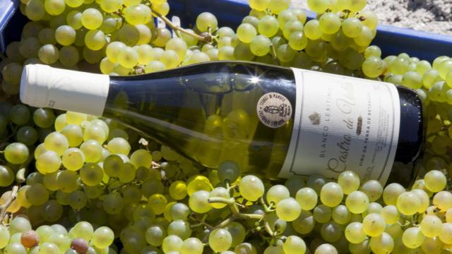 Las Bodegas Rilo (Bergondo) logran el primer sello de las Reservas de Biosfera españolas