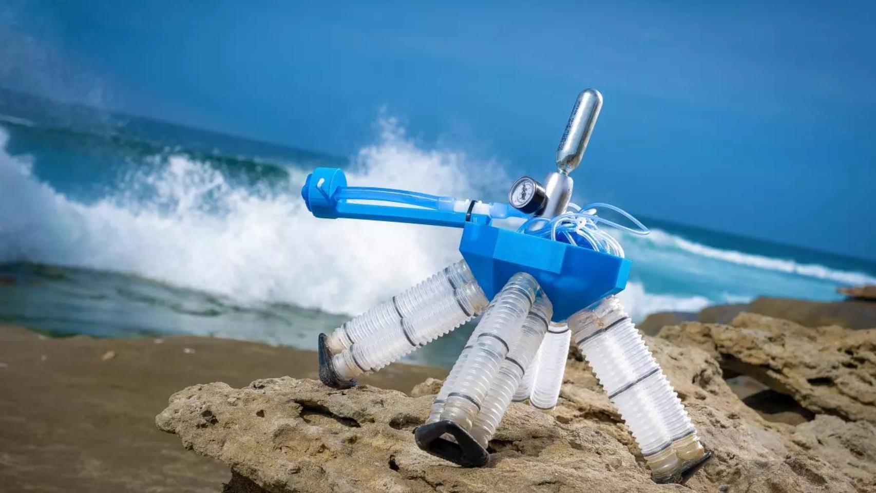 Crean un robot tortuga que funciona sin electrónica.