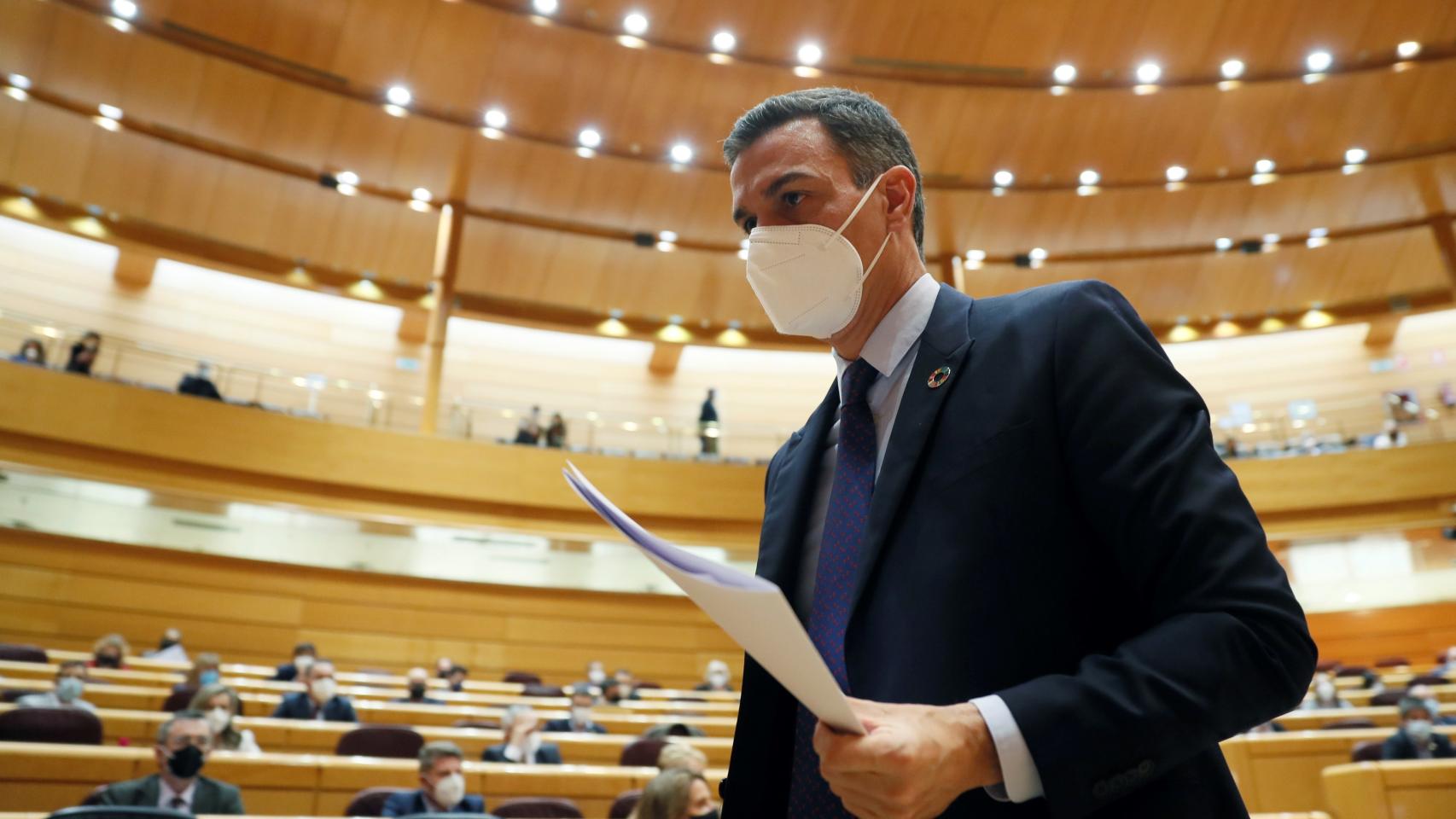 El presidente del Gobierno, Pedro Sánchez, tras su intervención en la sesión de control en el Senado.
