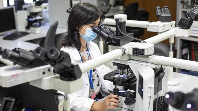 Cáncer con nombre y apellidos: la revolución de la medicina de precisión