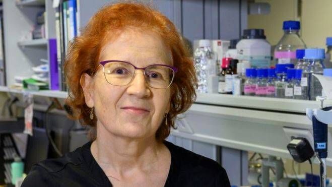 Margarita del Val