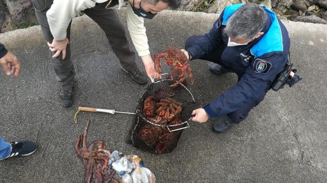 Marisco incautado a un furtivo en Vigo.