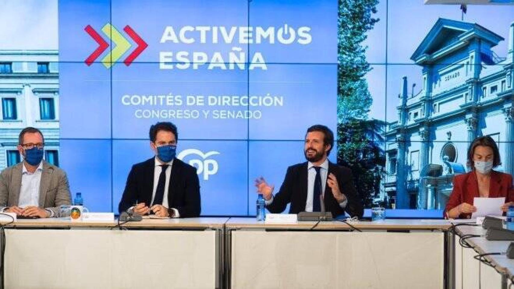 El presidente del PP, Pablo Casado, preside la reunión con los comités de dirección del Grupo Popular