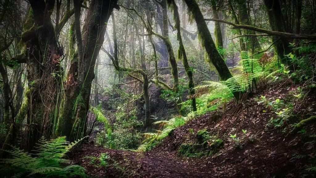 Este poblado es un destino obligado para los amantes del folclore, lo paranormal y la literatura gótica