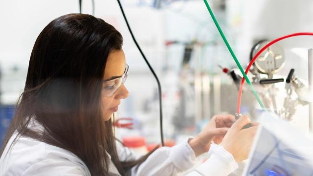 Imagen de recurso sobre la mujer en la ciencia. Foto: Unsplash
