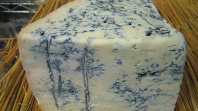 El queso Gorgonzola también presenta estos orificios verticales.