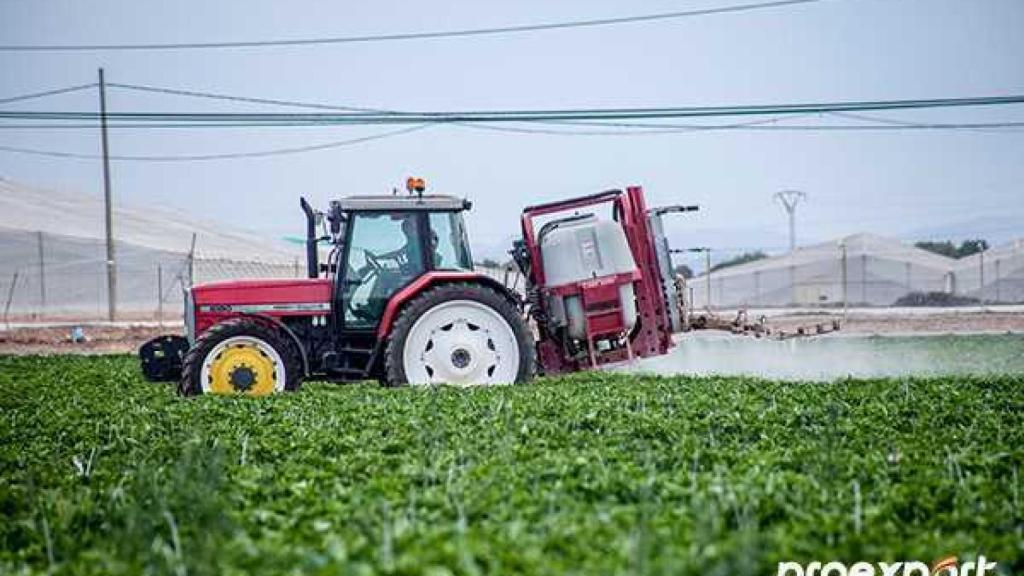 Un tractor en una huerta de Murcia.