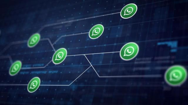 Cómo saber si hackearon mi Whatsapp