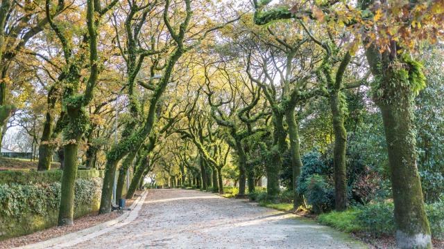 El parque de la Alameda, en Santiago de Compostela.