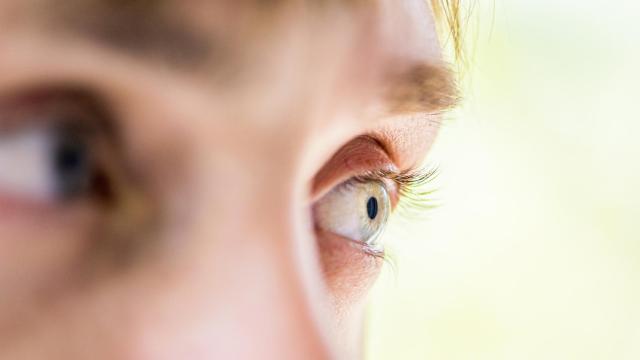 iStock-498528146