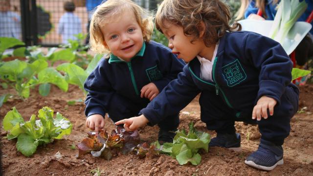 Caxton College (Valencia)
