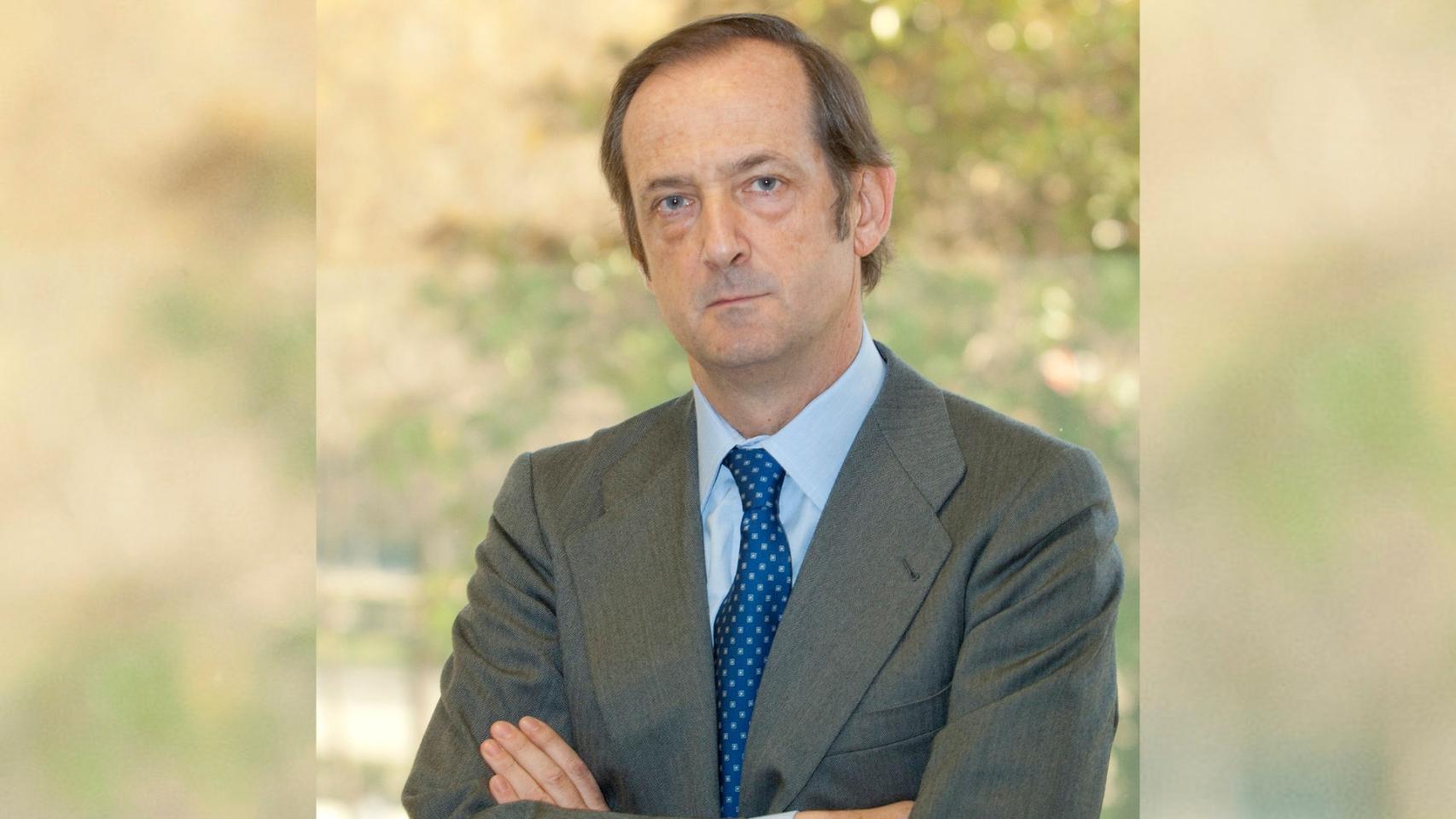 Ignacio de Colmenares y Brunet, Consejero Delegado (CEO) de la pastera